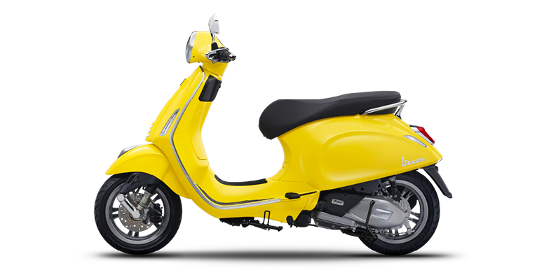 yellow-curioso-01 (1).png